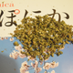 Illustration for article titled Why Japan Is So Strict About Drugs